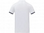 Morgan Двухцветное мужское поло с коротким рукавом , белый с логотипом в Москве заказать по выгодной цене в кибермаркете AvroraStore