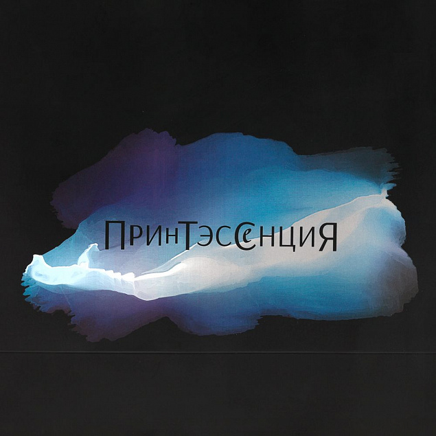 Пакет Essence Color, черный с логотипом в Москве заказать по выгодной цене в кибермаркете AvroraStore