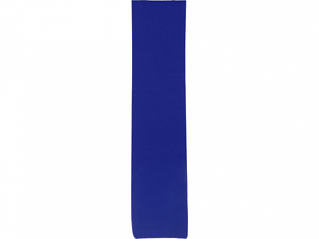 Шарф Dunant, классический синий с логотипом в Москве заказать по выгодной цене в кибермаркете AvroraStore
