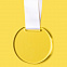 Медаль GLORY в подарочной упаковке, 70х66х5 мм, акрил с логотипом в Москве заказать по выгодной цене в кибермаркете AvroraStore