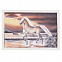 Картина «Лошадь» в серебристой раме с логотипом в Москве заказать по выгодной цене в кибермаркете AvroraStore
