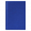 Ежедневник недатированный City Canyon 145х205 мм, без календаря, ярко-синий с логотипом в Москве заказать по выгодной цене в кибермаркете AvroraStore