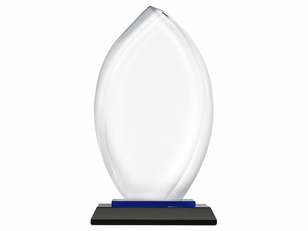 Награда Flame с логотипом в Москве заказать по выгодной цене в кибермаркете AvroraStore