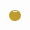 Шильд на ляссе круг D20*1 мм мет. золотое покрытие с логотипом в Москве заказать по выгодной цене в кибермаркете AvroraStore