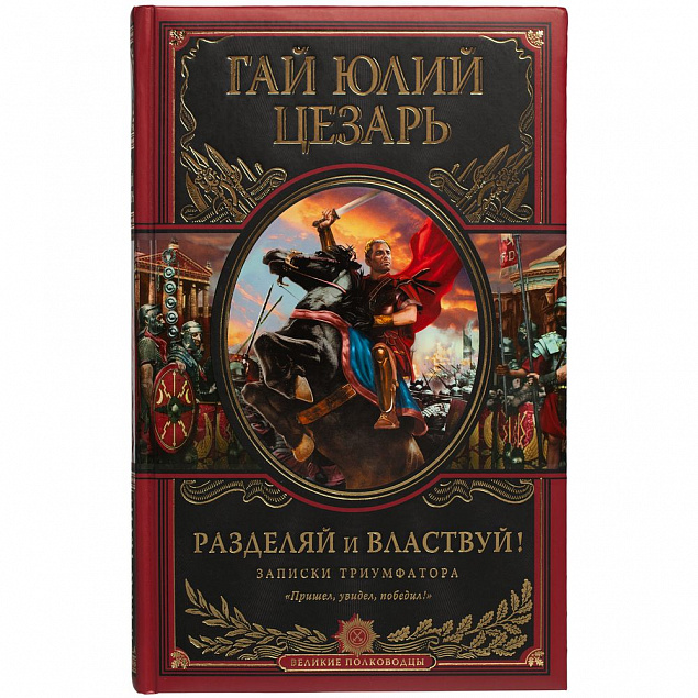 Книга «Разделяй и властвуй» с логотипом в Москве заказать по выгодной цене в кибермаркете AvroraStore