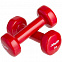 Гантель Heracles 1 кг, красная с логотипом в Москве заказать по выгодной цене в кибермаркете AvroraStore