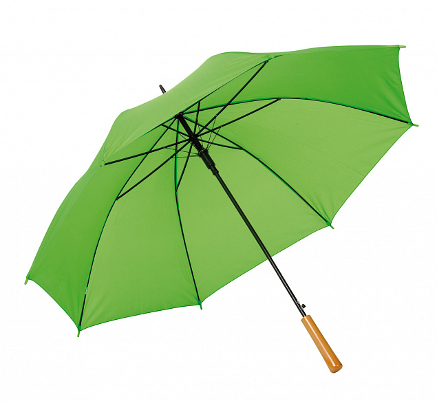 Автоматический зонт LIMBO, светло-зеленый с логотипом в Москве заказать по выгодной цене в кибермаркете AvroraStore