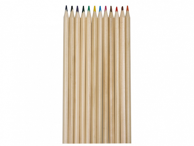 Набор из 12 трехгранных цветных карандашей «Painter» с логотипом в Москве заказать по выгодной цене в кибермаркете AvroraStore