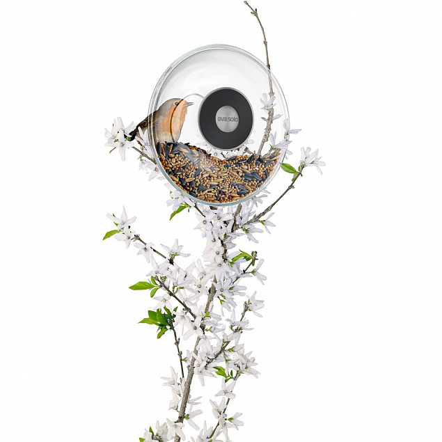 Кормушка для птиц Window Bird Feeder, прозрачная, малая с логотипом в Москве заказать по выгодной цене в кибермаркете AvroraStore